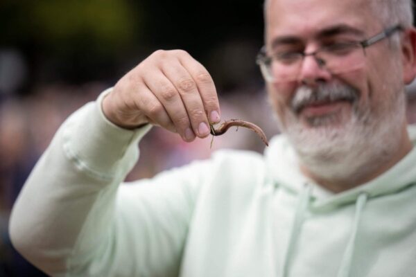 Campeonato Mundial de Worm Charming: barulhento, frenético e excêntrico, mas há ‘mágica nisso’