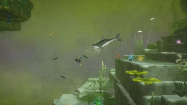 Todos os itens de criação de Dave the Diver In the Jungle e suas localizações