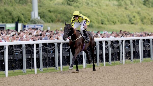 Align The Stars vence Northumberland Plate em Newcastle para o treinador Charlie Johnston | Notícias sobre corridas