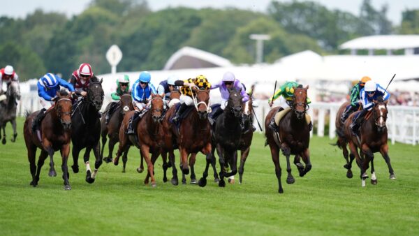 Royal Ascot: Almeraq rouba a cena nas Estacas do Jubileu da Rainha Elizabeth II depois que Giavellotto vence as Estacas Hardwicke | Notícias sobre corridas