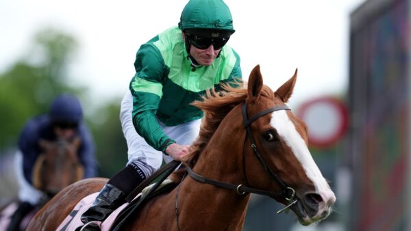 Derby Irlandês: Redenção para Benvenuto Cellini ao vencer em Curragh para Aidan O’Brien e Ryan Moore | Notícias sobre corridas