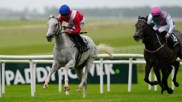 Pretty Polly Stakes de Curragh: Estrange coloca o vencedor do Oaks, Thundering On, na sombra com vitória para Danny Tudhope e David O’Meara | Notícias sobre corridas