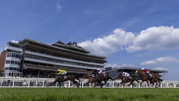 Hoje na Sky Sports Racing: Creative Queen em busca de vitórias consecutivas em Newbury, além de ação em Ffos Las e Newton Abbot | Notícias sobre corridas
