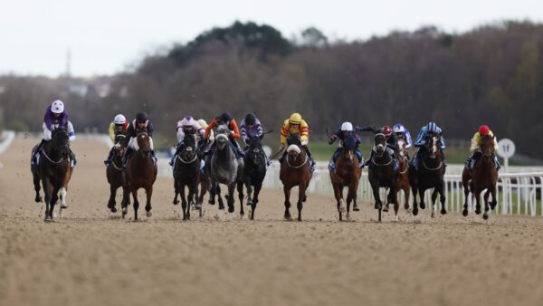 Hoje na Sky Sports Racing: ação para todos os climas de Newcastle ao vivo na quinta-feira | Notícias sobre corridas