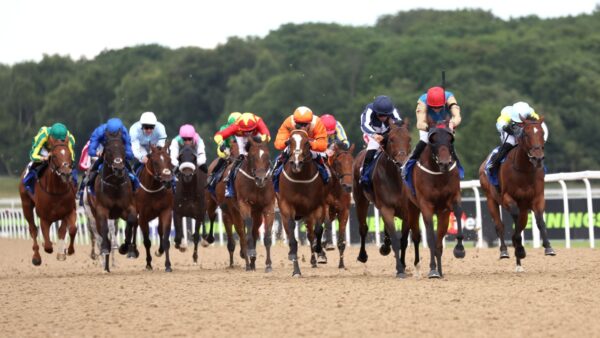 Hoje na Sky Sports Racing: Diamond Rain vai novamente ao prêmio Newcastle com Doncaster, Yarmouth e Bangor também ao vivo na sexta-feira | Notícias sobre corridas