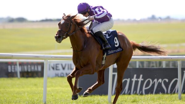 Hoje no Royal Ascot: A dupla de Aidan O’Brien, Precise e True Love, estrela no confronto Coronation Stakes | Notícias sobre corridas