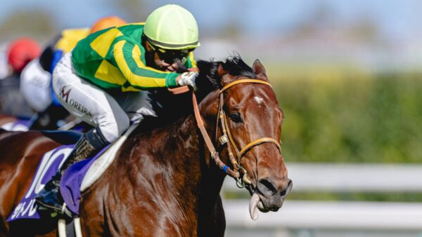 Dicas do Royal Ascot: Satono Reve pretendia conquistar a coroa da Rainha Elizabeth II Jubilee Stakes para o Japão | Notícias sobre corridas